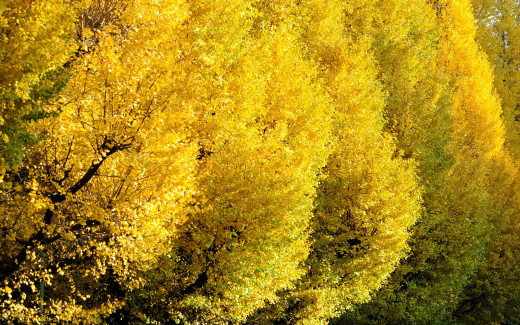 1667552 (a): :2560x1600